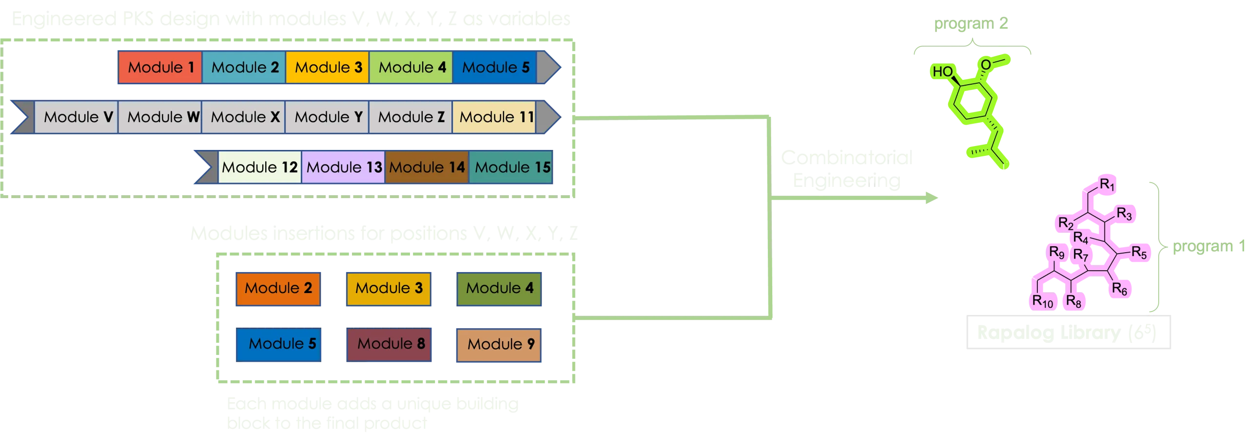 rapalog construction overview